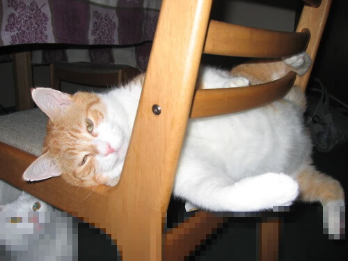 基层足球项目缺乏市场化运营经验,足球场市场分析