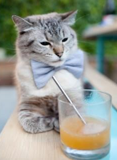 职业球员心理素质培养滞后，球员的自我修养