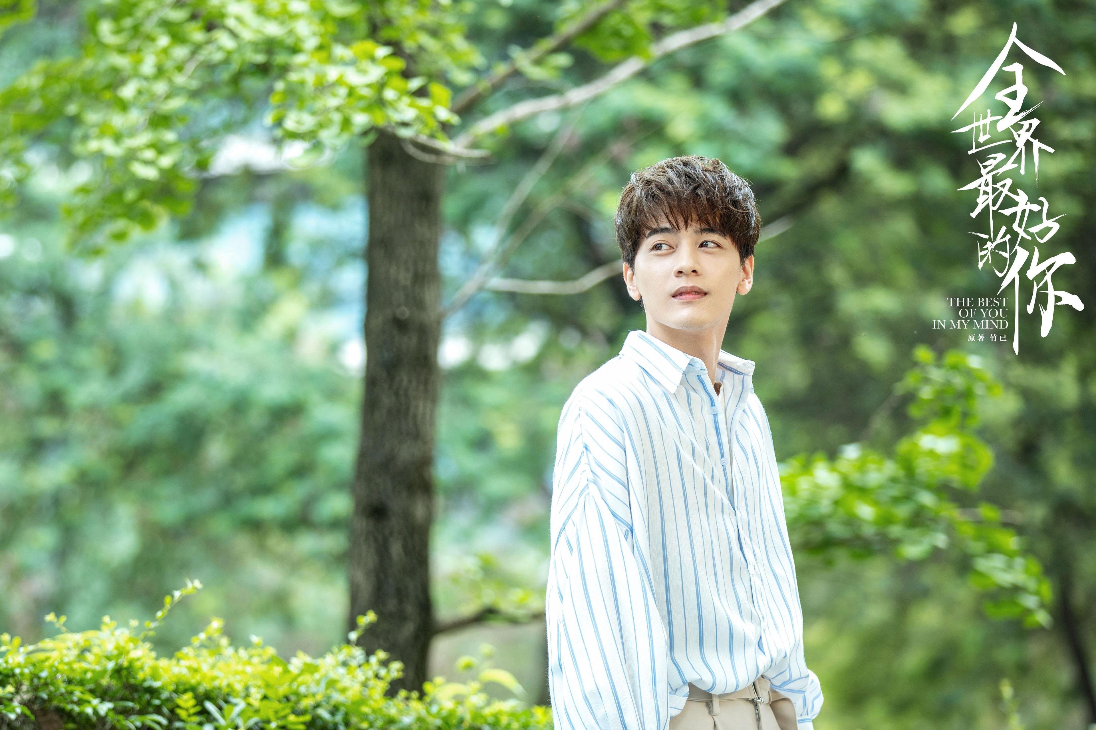 世界杯万人空巷：足球盛宴掀起狂潮，世界杯足球赛如火如荼地进行