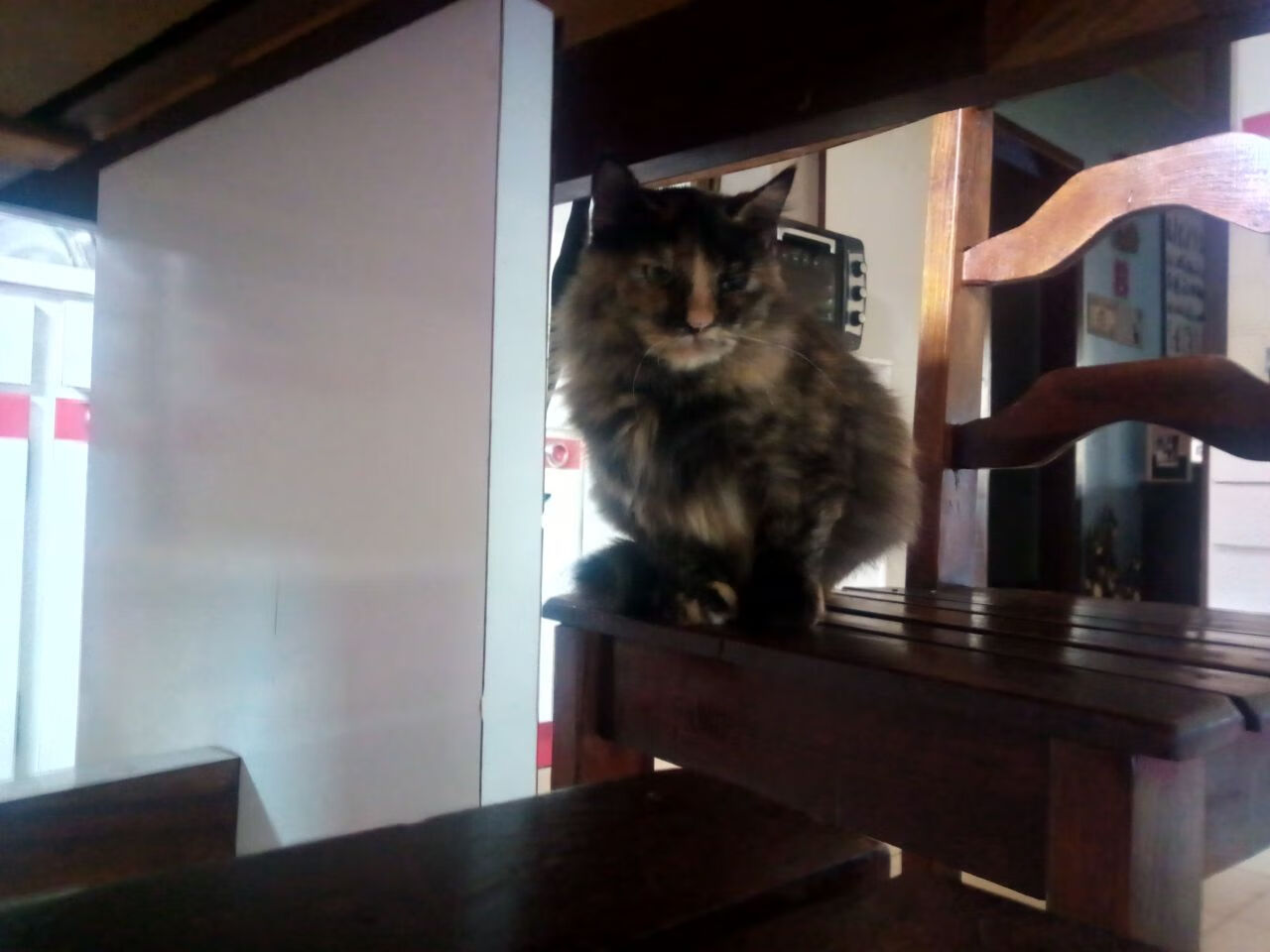 kaiyun开云·官方网站-卡普尔的突破技巧与强大冲击力，让袋鼠队在进攻中拥有多种选择