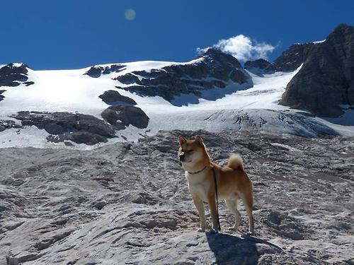 开云kaiyun-奥卡拉汉与对手差距在哪？技术分析来了，奥卡兰迪