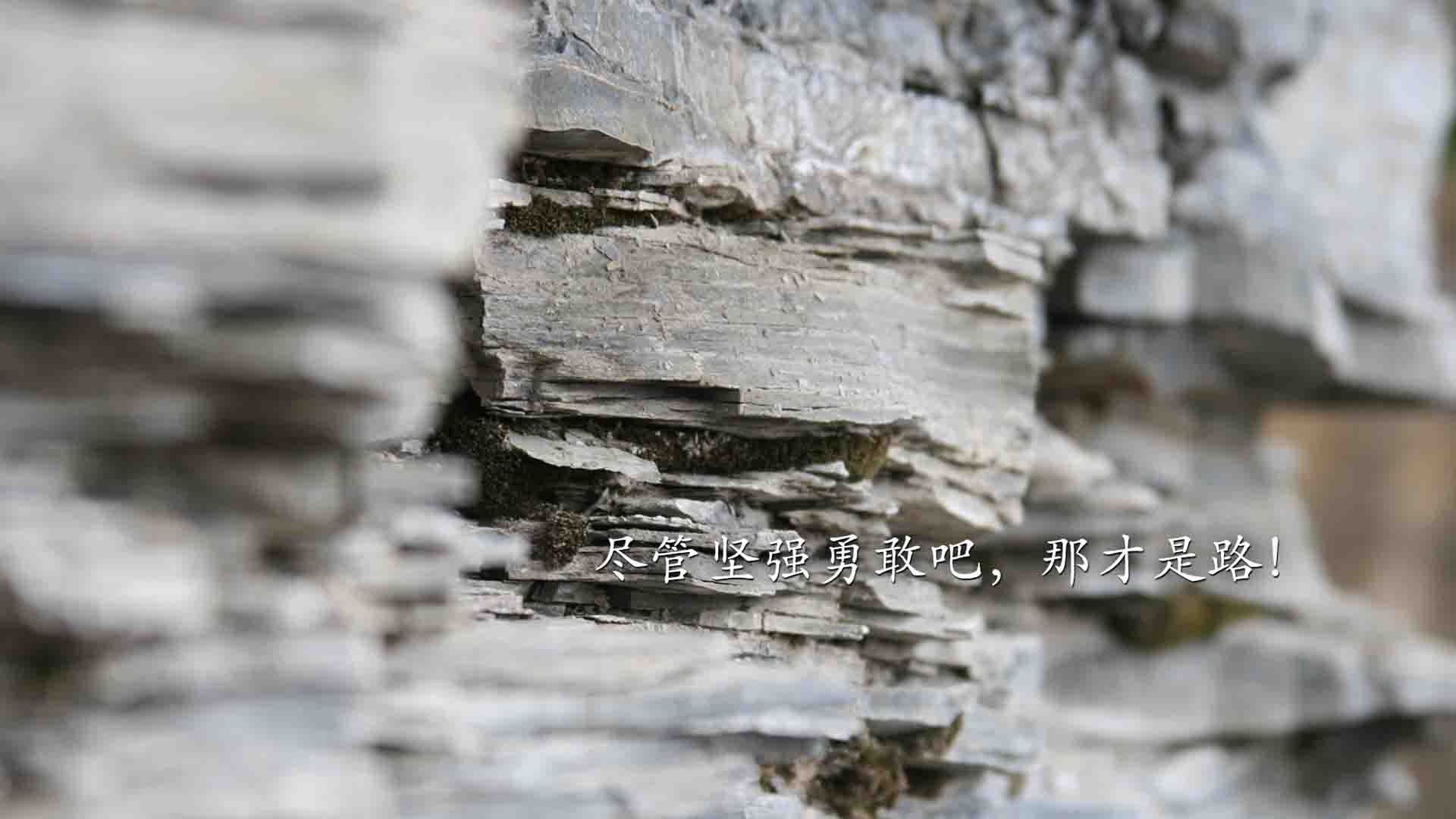 开云官方-法甲超新星：风采照耀，未来可期！