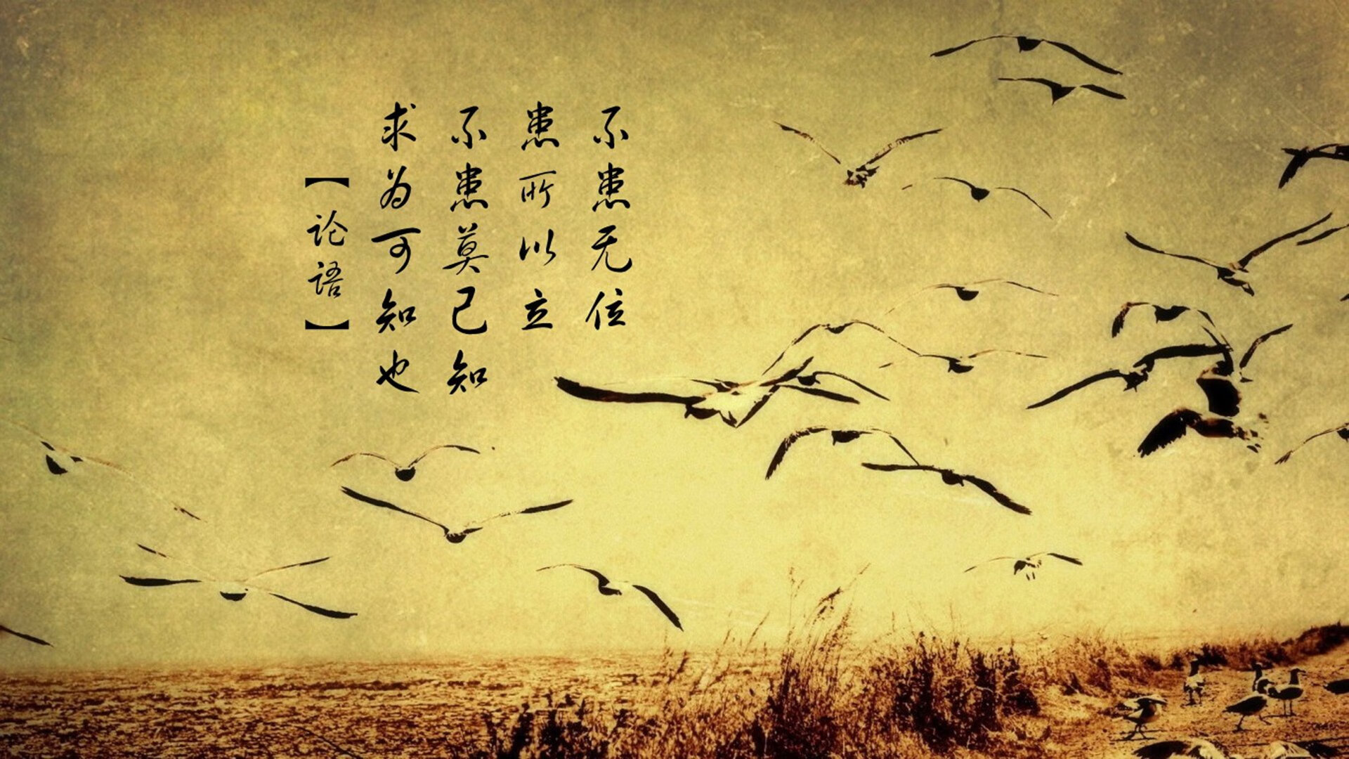 开云平台-跳水预赛南非队稳定晋级，南非跳远运动员