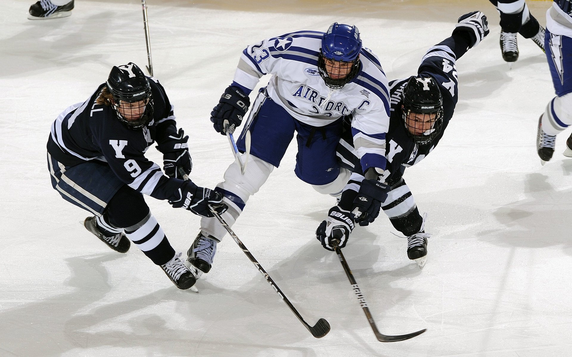 “2025世界游泳锦标赛：水上芭蕾精彩纷呈，艺术之美与竞技并行”